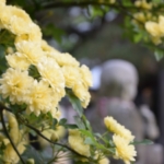 細かい点までご配慮いただき感謝するばかりです