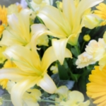 安心できました