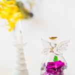 親戚から褒められました