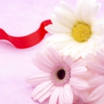 親身になってくださりありがとうございます