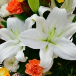 家にいるような雰囲気で