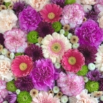 ゆかんで気持ちが安らぎました